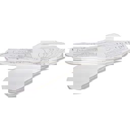 The Voice of the People