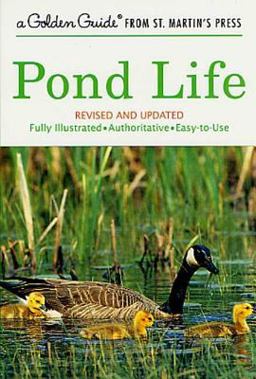 Pond Life  9781582381305 Front Cover