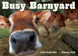 Busy Barnyard  9781582461687 Front Cover