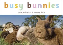 Busy Bunnies