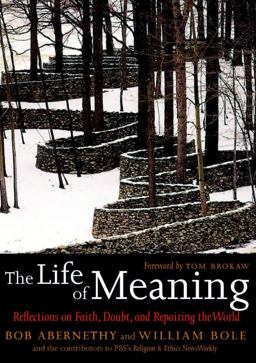 Life of Meaning Reflections on Faith, Doubt, and Repairing the World  9781583228296 Front Cover
