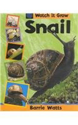 Snail