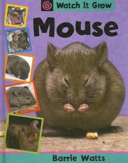 Mouse