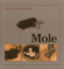 Mole