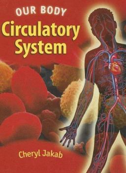 Circulatory System