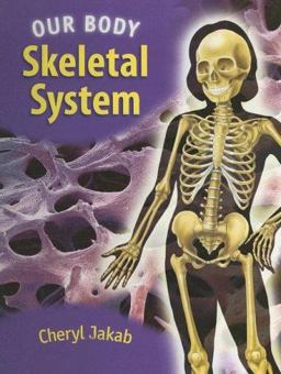 Our Body Skeletal System