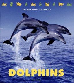 Dolphins Dolphins