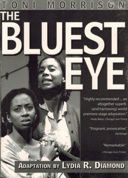Bluest Eye  9781583425381 Front Cover
