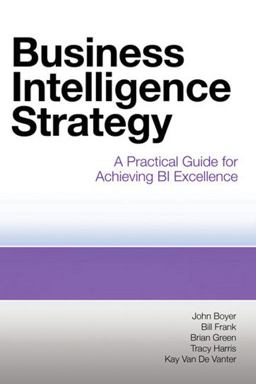 Business Intelligence Strategy A Practical Guide for Achieving BI Excellence  9781583473627 Front Cover