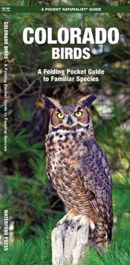 North Carolina Birds North Carolina Birds