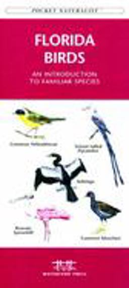 Florida Birds An Introduction to Familiar Species  9781583551066 Front Cover