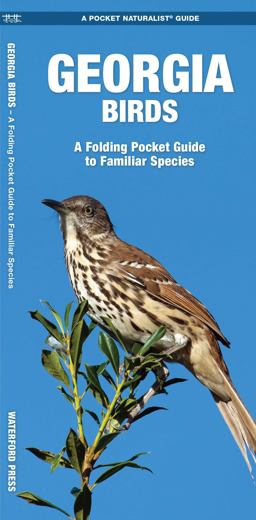 Eastern Coastal Birds Eastern Coastal Birds