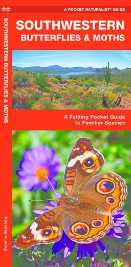 Southwestern Butterflies and Moths