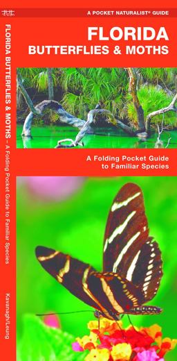 Florida Butterflies and Moths