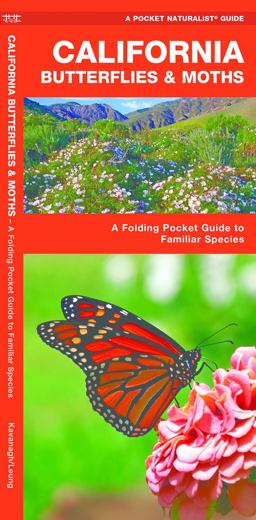 California Butterflies and Moths