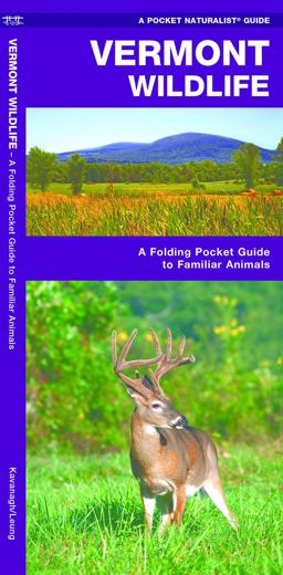 Vermont Wildlife Vermont Wildlife