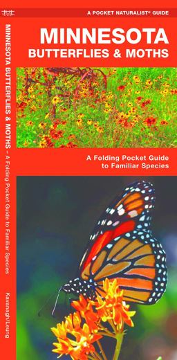 Minnesota Butterflies and Moths