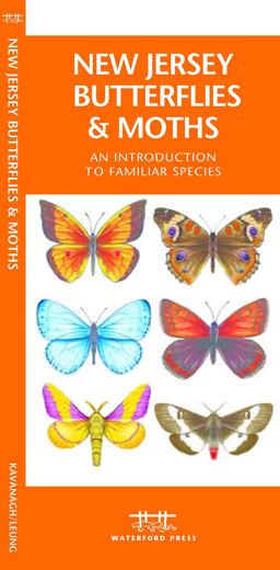 New Jersey Butterflies and Moths