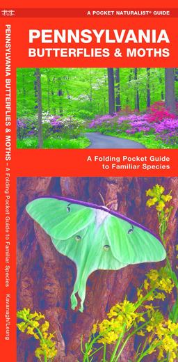 Pennsylvania Butterflies and Moths