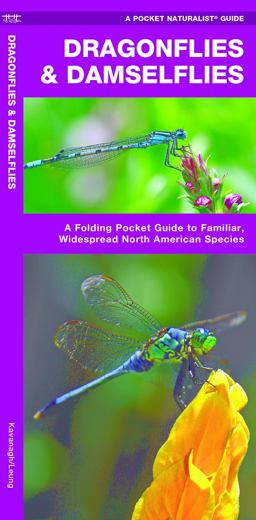 Dragonflies and Damselflies Dragonflies and Damselflies