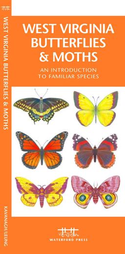 West Virginia Butterflies and Moths