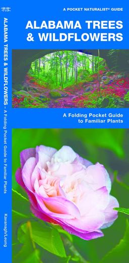 Alabama Trees and Wildflowers