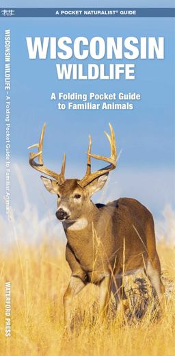 Wisconsin Wildlife Wisconsin Wildlife