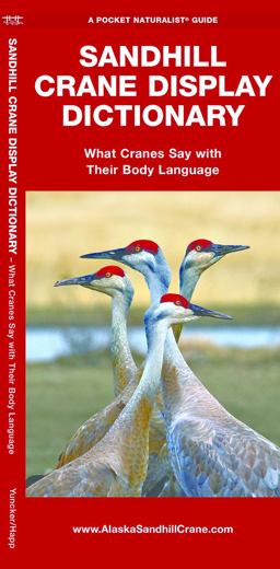 Sandhill Crane Display Dictionary