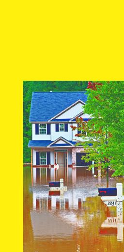 Flood Survival Flood Survival