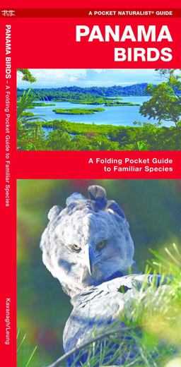 Panama Birds