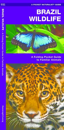 Brazil Wildlife