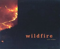 Wildfire