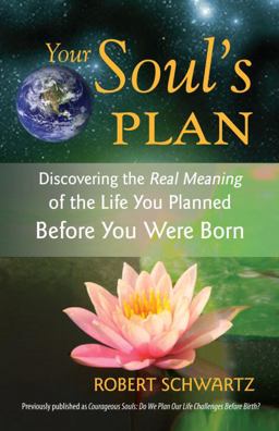 Your Soul's Plan Discovering the Real Meaning of the Life You Planned Before You Were Born  9781583942727 Front Cover
