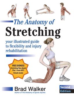 Anatomy of Stretching, Second Edition Your Illustrated Guide to Flexibility and Injury Rehabilitation 2nd 9781583943717 Front Cover