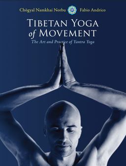 Tibetan Yoga of Movement The Art and Practice of Yantra Yoga  9781583945568 Front Cover