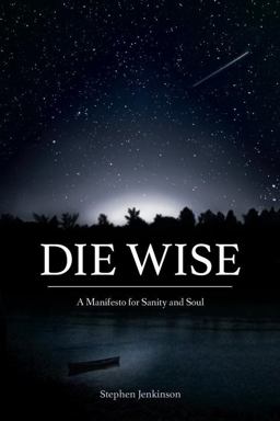 Die Wise A Manifesto for Sanity and Soul  9781583949733 Front Cover