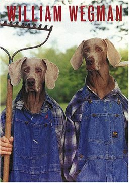 Wegman William - 25 Postcards