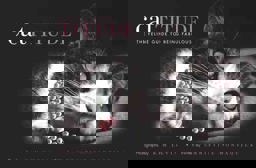 Cattitude A Feline Guide to Being Fabulous  9781584794622 Front Cover