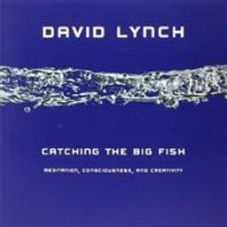 Catching the Big Fish