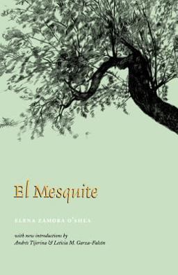 Mesquite A Story of the Early Spanish Settlements Between the Nueces and the Rio Grande  9781585441082 Front Cover