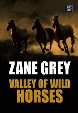 The Valley of Wild Horses