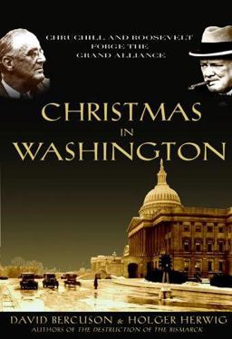One Christmas in Washington