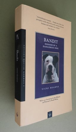 Bandit