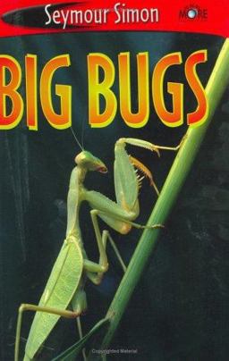 See More Readers: Big Bugs - Level 1