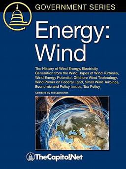 Energy Wind 2010 9781587331886 Front Cover