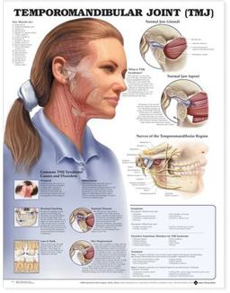 Temporomandibular Joint (TMJ) Anatomical Chart  9781587792953 Front Cover