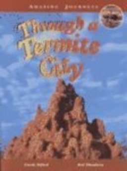 Through a Termite City