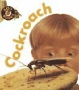Cockroach