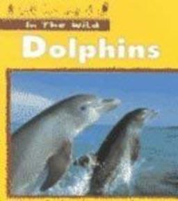 Dolphins Dolphins