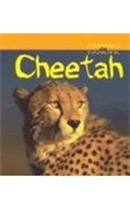 Cheetah
